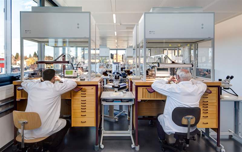 2017 年及以后手表行業(yè)可能的經(jīng)濟增長領(lǐng)域-復(fù)刻表