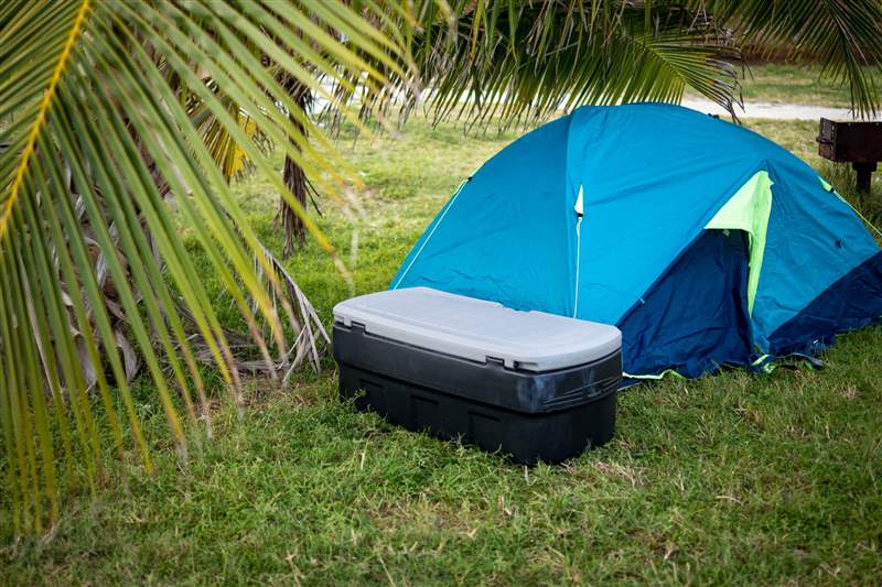 你只活一次的假期:我帶著愛彼表去了一個荒島-復刻表