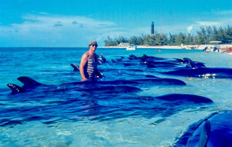 你只活一次的假期:我帶著愛彼表去了一個荒島-復刻表