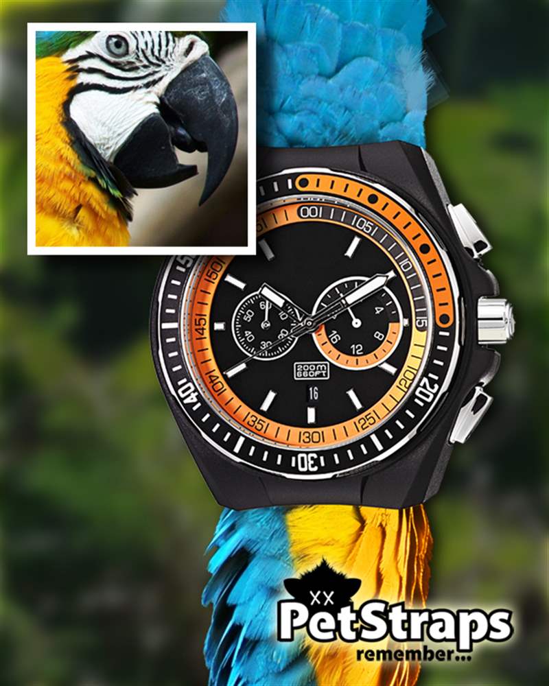 PetStraps:寵物伴侶的愛存在于……您的手腕上-復(fù)刻表