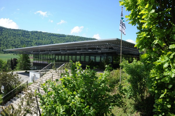 Villeret Nivarox 公司 Nivarox內部——瑞士鐘表業的心臟-復刻表